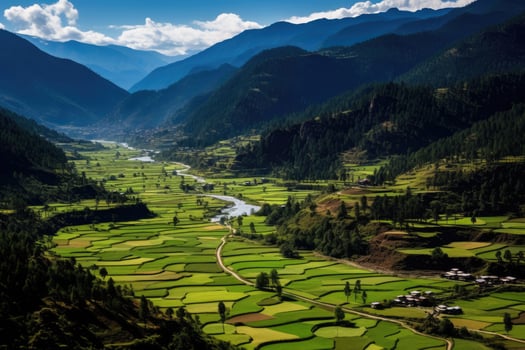 Aerial view of green rice terraces in Sapa, Vietnam, Aerial view of Paro Valley Bhutan, AI Generated photo