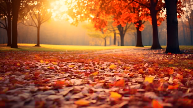 Autumn landscape with bright colorful leaves on the ground in the park photo