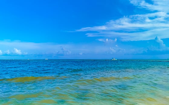 Tropical mexican beach clear turquoise water Playa del Carmen Mexico. photo