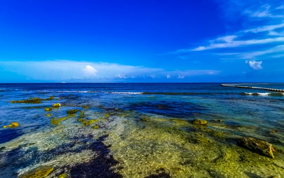 Stones rocks corals turquoise green blue water on beach Mexico. photo
