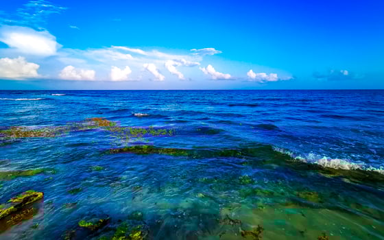 Tropical mexican beach clear turquoise water Playa del Carmen Mexico. photo