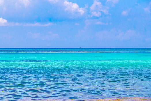 Tropical mexican beach clear turquoise water Playa del Carmen Mexico. photo