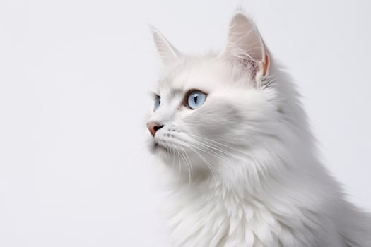 photo of a cat on a plain white background. ai generated