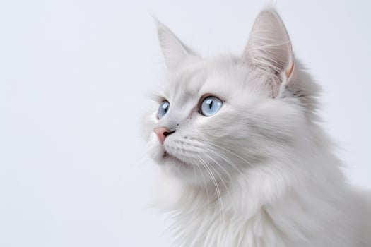 photo of a cat on a plain white background. ai generated