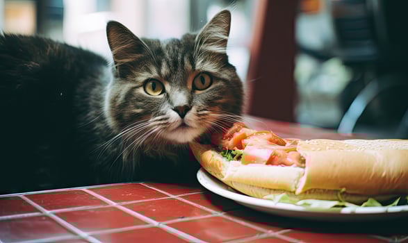 Intrigued feline poised to taste a hot dog. Created with AI photo