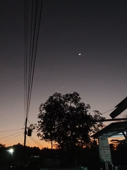 Moonscape and tree silhouettes photo