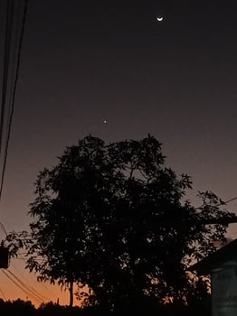 Moonscape and tree silhouettes photo