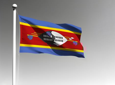 Eswatini national flag waving on gray background photo