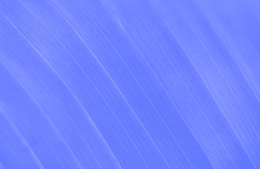 Abstract Modern Illustration Stripes Background Design photo