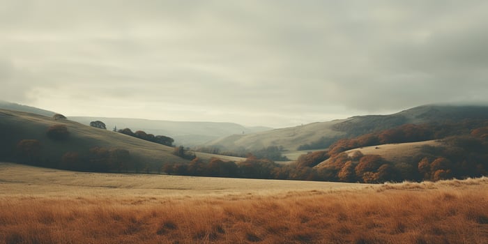 Generative AI, Autumn aesthetic landscape panorama, muted neutral colors. photo