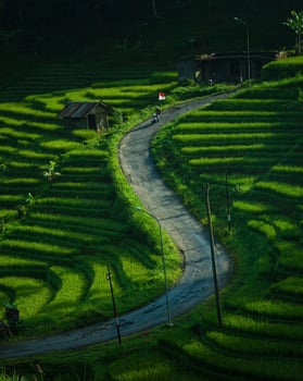 Stunning Rural Views with Beautiful Green Rice Terraces, in Indonesia photo