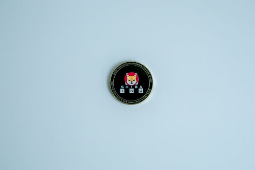 1 Shiba coin SHIB on a white background photo