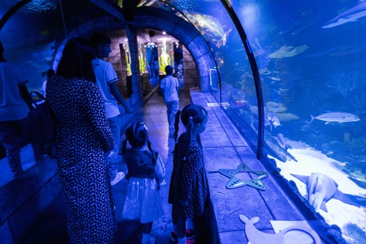 Family looking at fishes and shark in oceanarium. Mother with children enjoying in ocean exhibit tank. photo