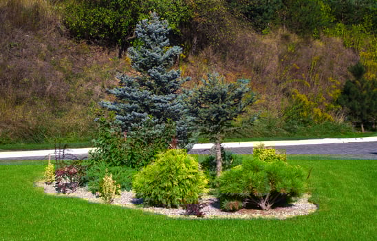 Landscaping with plants, rocks and a green lawn. Park and garden composition. Coniferous plant bed. photo