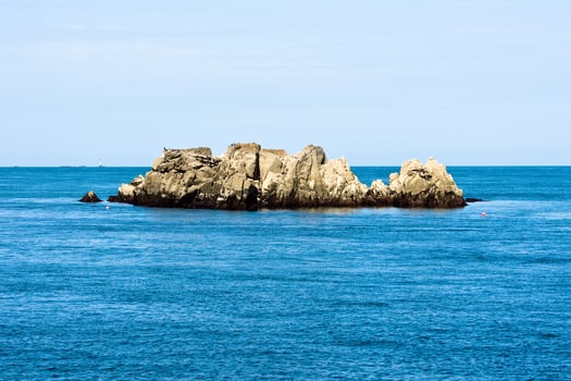 Summer Splendor in Island of Brehat, Cotes d'Armor, Brittany, France photo