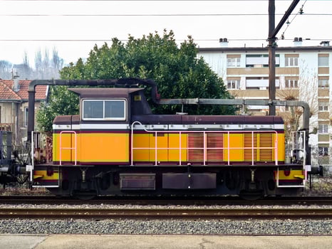 Vintage French Locomotive in Full Bloom photo