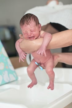 Newborn baby girl taking a first bath photo