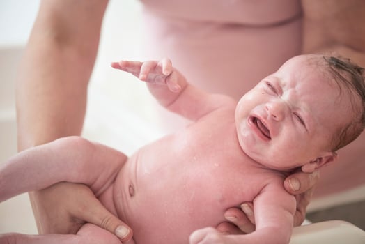 Newborn baby girl taking a  bath photo