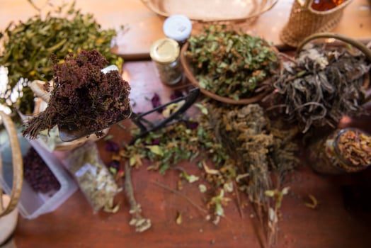 herbalist workshop view photo