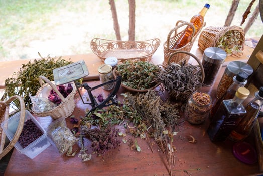 herbalist workshop view photo