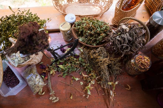 herbalist workshop view photo