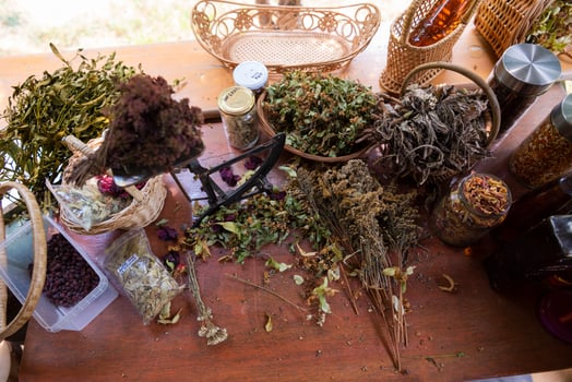herbalist workshop view photo