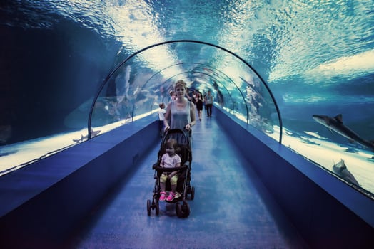 happy family  in the underwater aquarium photo