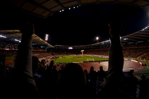 soccer fans support their favorite sports team photo