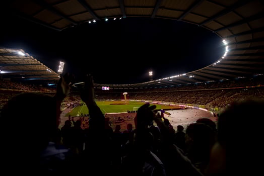 soccer fans support their favorite sports team photo
