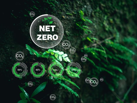 CO2 emission reduction concept, clean and friendly environment without carbon dioxide emissions. Planting trees to reduce CO2 emissions, environmental protection concept. photo