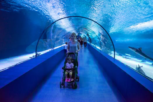 happy family  in the underwater aquarium photo