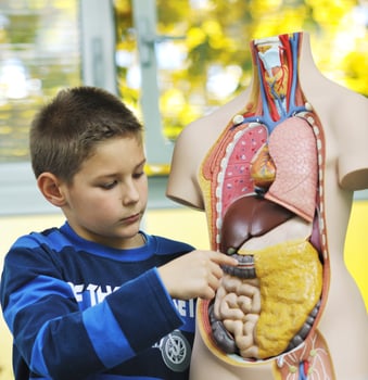 learn biology in school photo