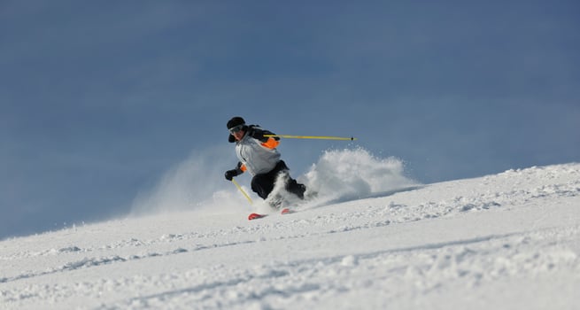 skier free ride photo