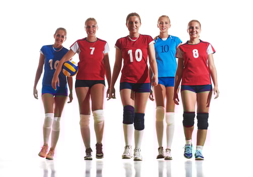 volleyball  woman group photo