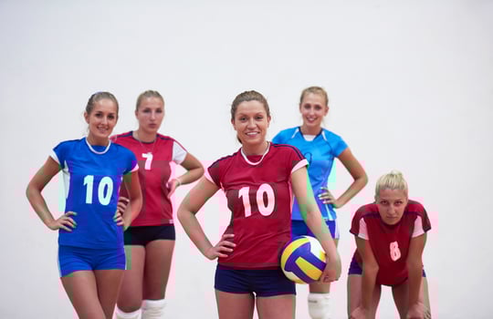 volleyball  woman group photo