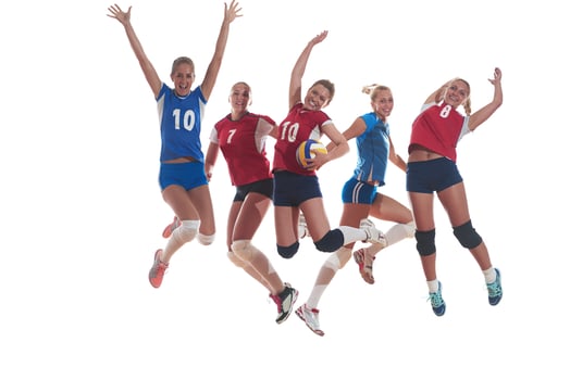 volleyball  woman group photo