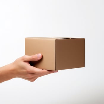 Female hands holding a brown cardboard box. photo