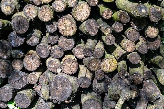Photography on theme big wall of stacked oak tree logs in cracks photo