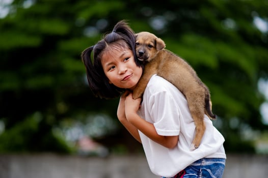 Young girl plays with a little puppy happily Inter-species love Love of people and pets photo