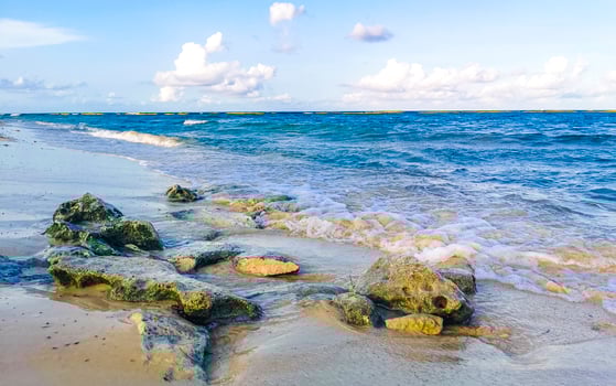 Stones rocks corals turquoise green blue water on beach Mexico. photo