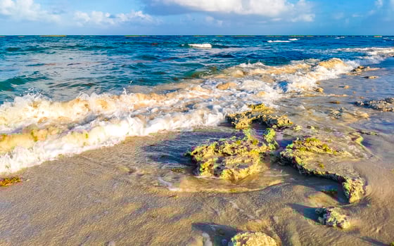 Stones rocks corals turquoise green blue water on beach Mexico. photo