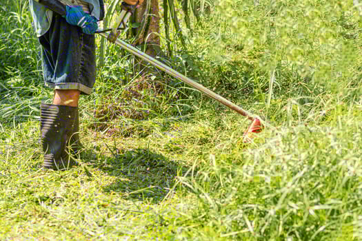 farmer use mowing cut grass work outdoor at garden summer day, one person man job use tool clipper at meadow photo