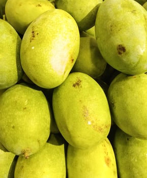 Nature image view. Tropical fruit. Green fresh mango photo