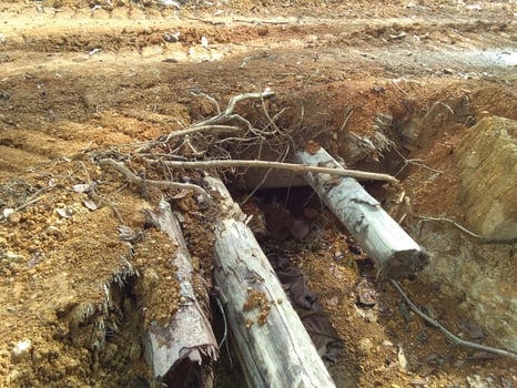 Work in the plantation area. photo