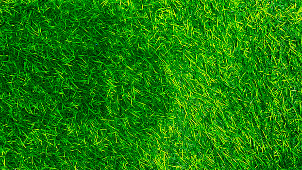Green grass texture background grass garden concept used for making green background football pitch, Grass Golf, green lawn pattern textured background. photo