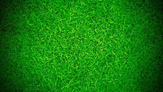 Green grass texture background grass garden concept used for making green background football pitch, Grass Golf, green lawn pattern textured background. photo
