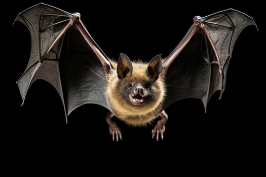 Bat with open mouth on a black background.AI Generated photo