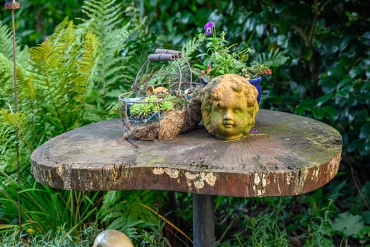 summer time in the garden photo
