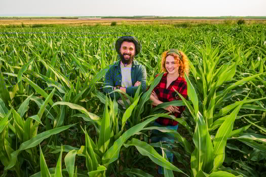 Family agricultural occupation. Man and woman are cultivating corn. They are satisfied with good progress of plants. photo