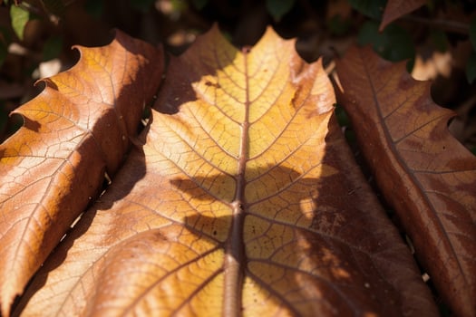 Captivating Autumn Beauty Macro Shot of a Backlit Leaf. AI Generated. photo